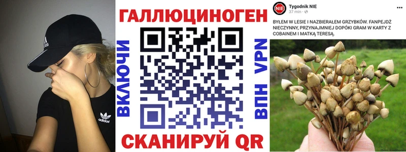 где продают наркотики  Вилюйск  Галлюциногенные грибы GOLDEN TEACHER 